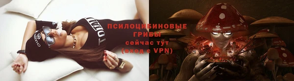марки nbome Горняк