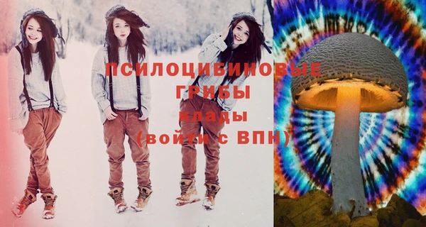 марки nbome Горняк