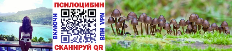 Купить где  Кушва  Галлюциногенные грибы Cubensis 
